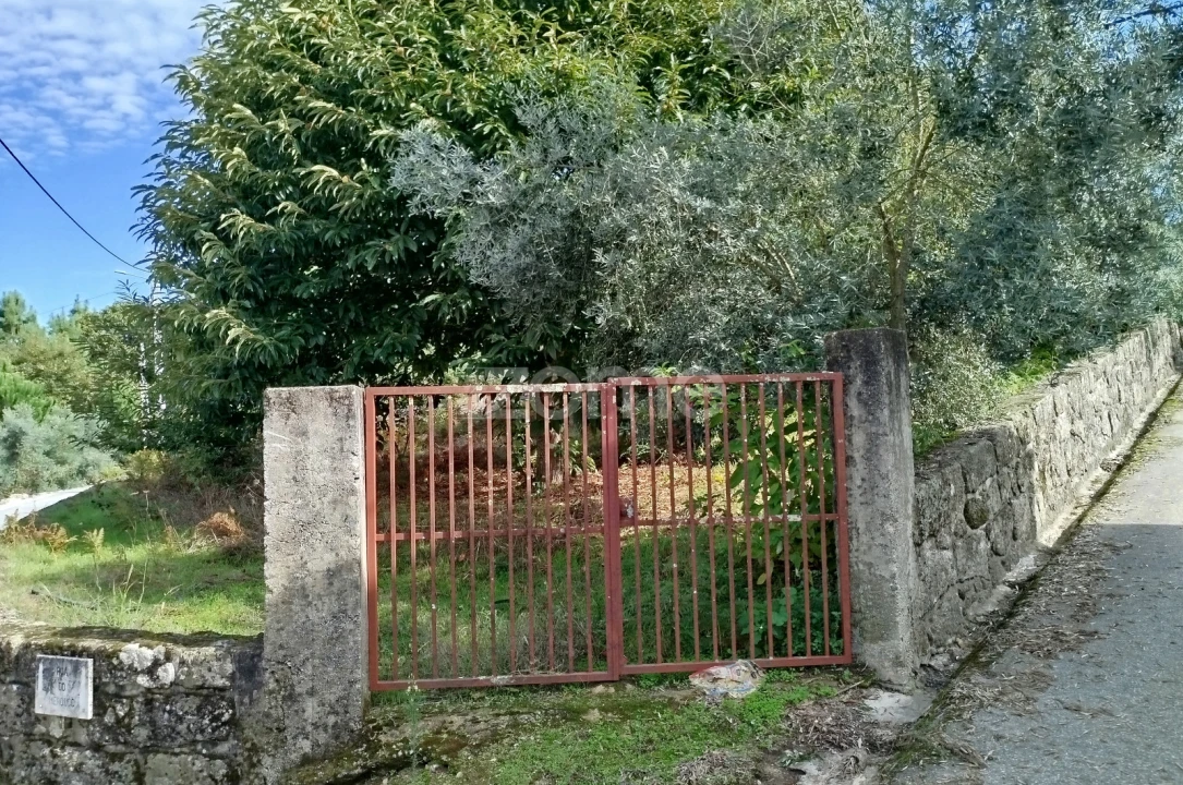 Terreno para Venda em Vilar de Besteiros e Mosteiro de Fráguas Foto 2