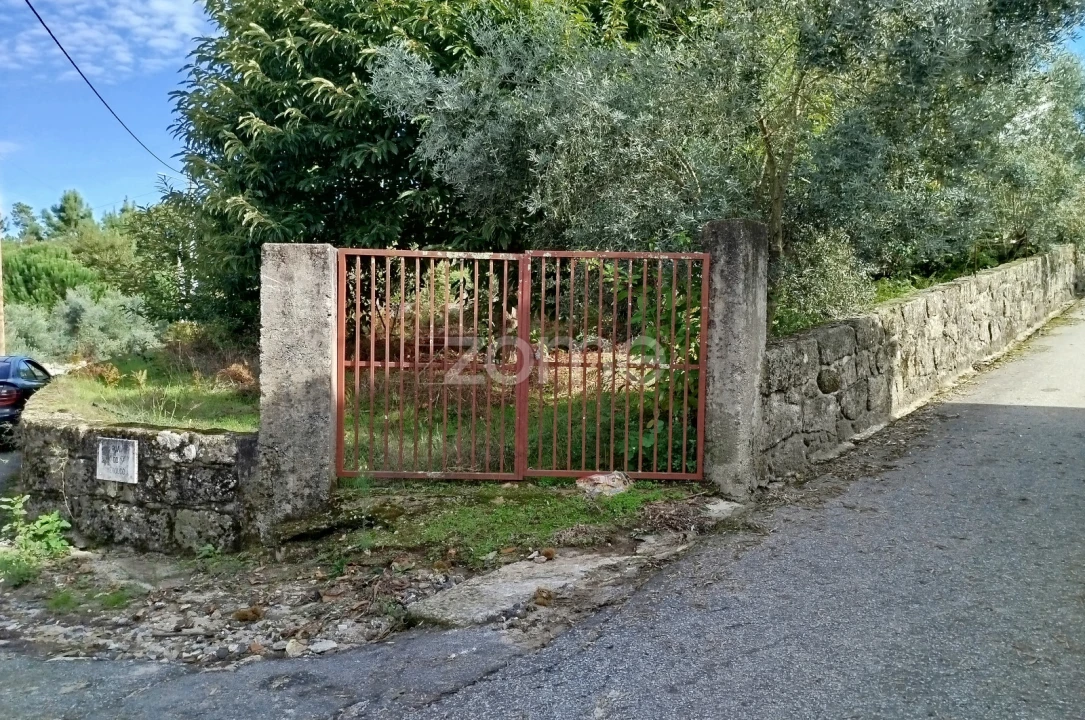 Terreno para Venda em Vilar de Besteiros e Mosteiro de Fráguas Foto 1