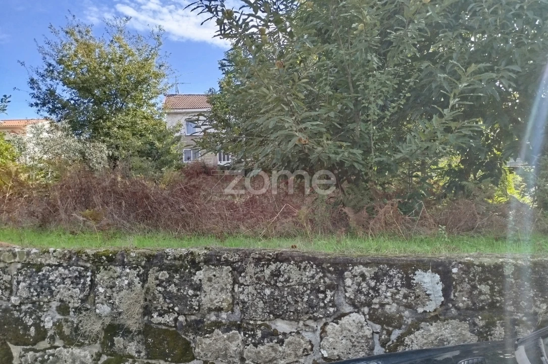 Terreno para Venda em Vilar de Besteiros e Mosteiro de Fráguas Foto 5