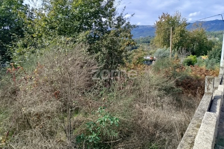 Terreno para Venda em Vilar de Besteiros e Mosteiro de Fráguas Foto 27