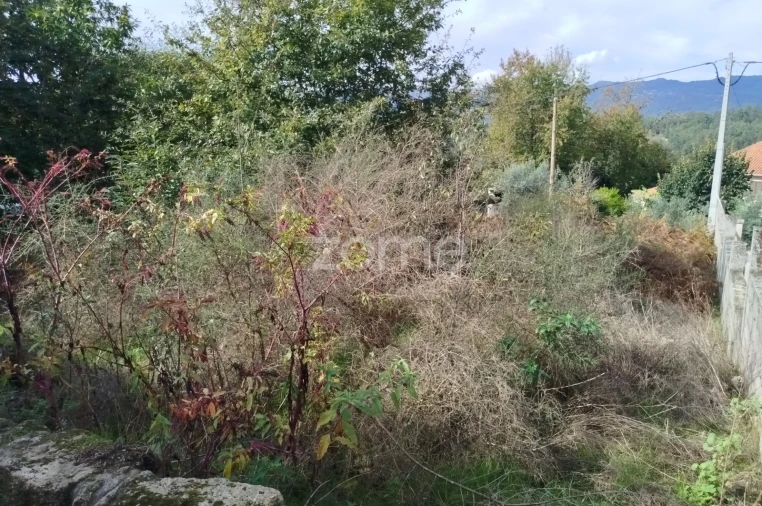 Terreno para Venda em Vilar de Besteiros e Mosteiro de Fráguas Foto 14