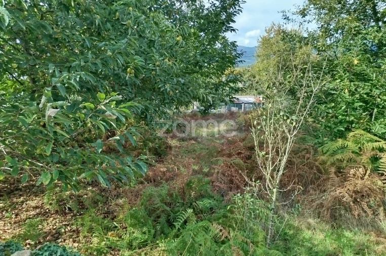 Terreno para Venda em Vilar de Besteiros e Mosteiro de Fráguas Foto 13