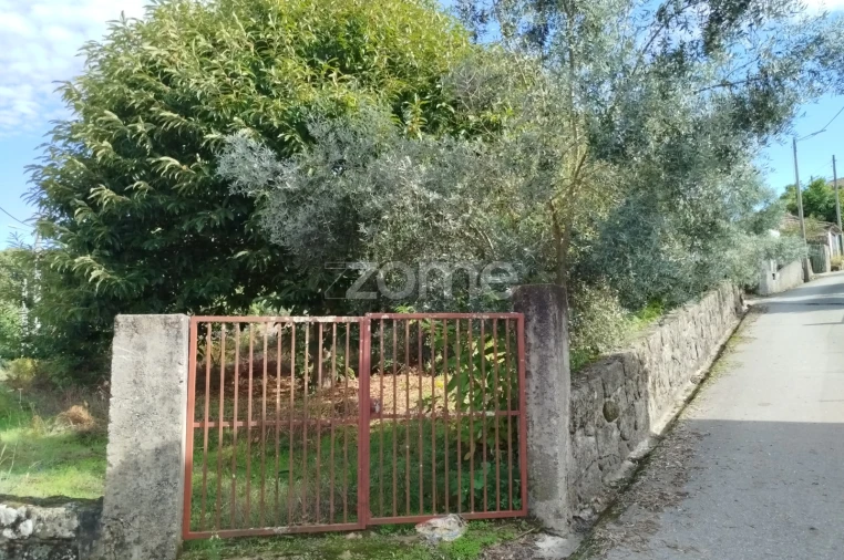 Terreno para Venda em Vilar de Besteiros e Mosteiro de Fráguas Foto 6