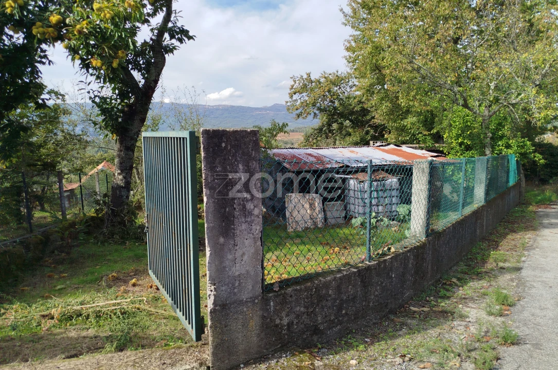 Moradia T3 para Venda em Vilar de Besteiros e Mosteiro de Fráguas Foto 52