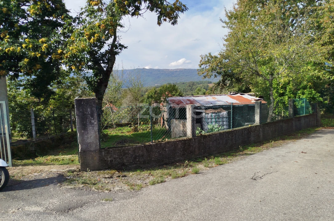 Moradia T3 para Venda em Vilar de Besteiros e Mosteiro de Fráguas Foto 53