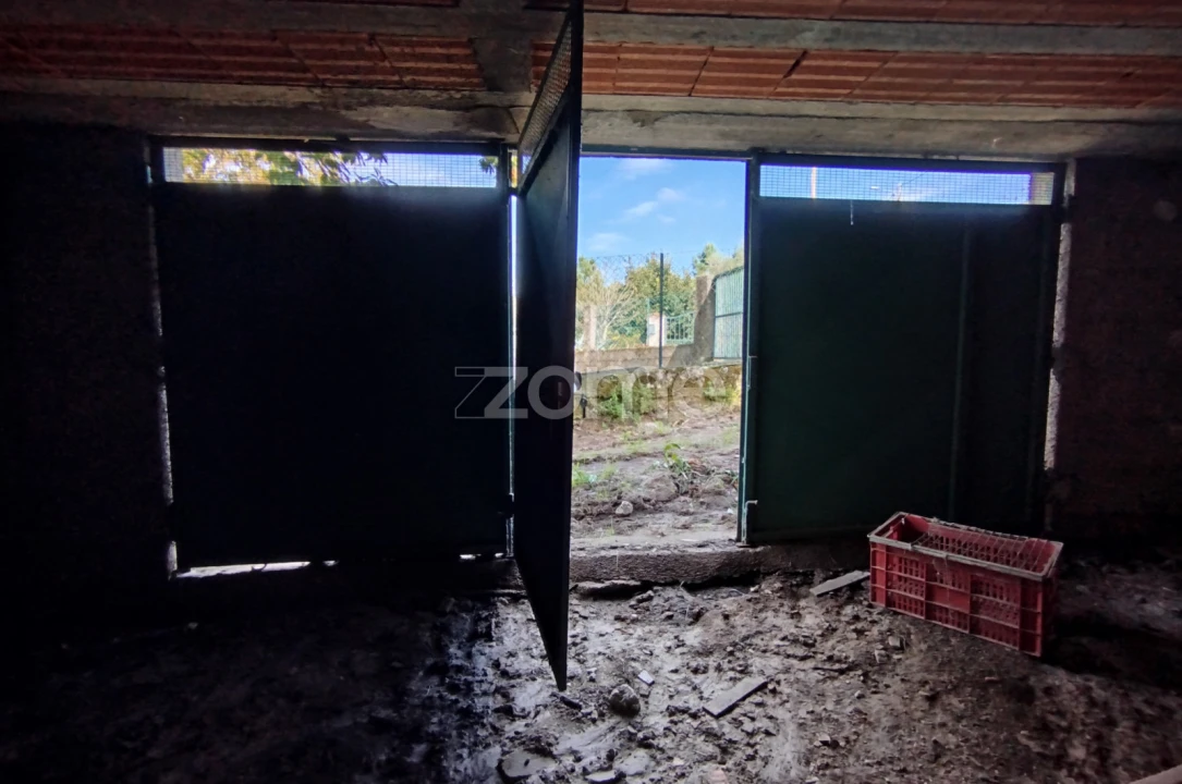 Moradia T3 para Venda em Vilar de Besteiros e Mosteiro de Fráguas Foto 21