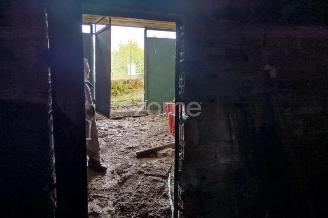 Moradia T3 para Venda em Vilar de Besteiros e Mosteiro de Fráguas Foto 18