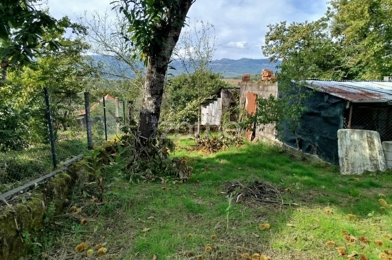 Moradia T3 para Venda em Vilar de Besteiros e Mosteiro de Fráguas Foto 48