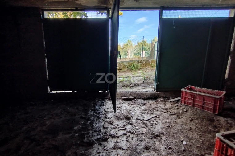 Moradia T3 para Venda em Vilar de Besteiros e Mosteiro de Fráguas Foto 24