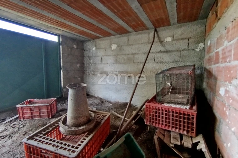 Moradia T3 para Venda em Vilar de Besteiros e Mosteiro de Fráguas Foto 16