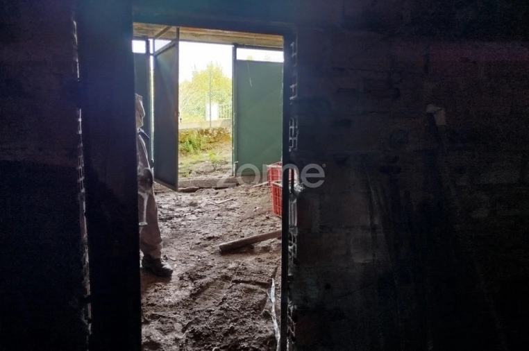 Moradia T3 para Venda em Vilar de Besteiros e Mosteiro de Fráguas Foto 18