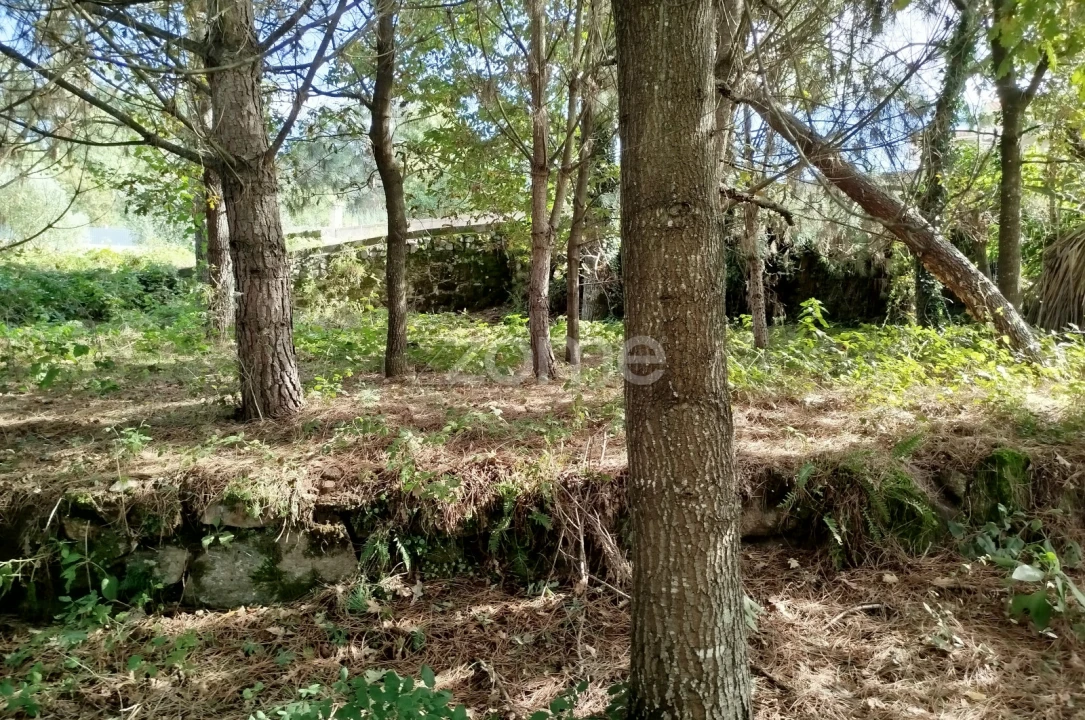 Terreno para Venda em Vilar de Besteiros e Mosteiro de Fráguas Foto 2