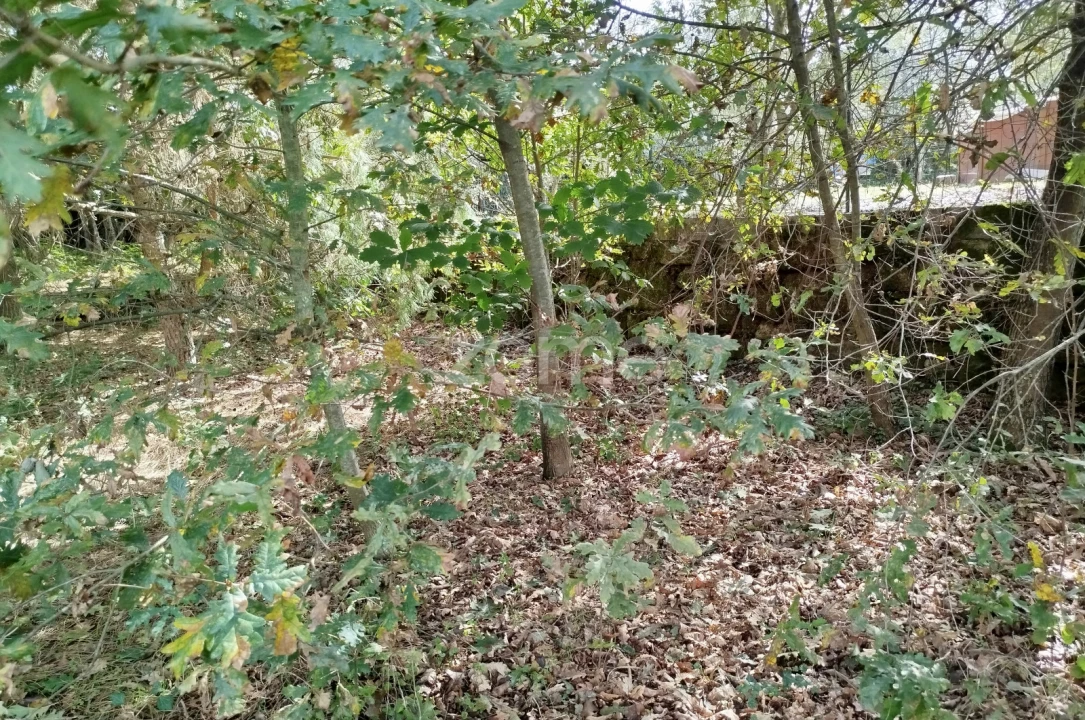 Terreno para Venda em Vilar de Besteiros e Mosteiro de Fráguas Foto 5