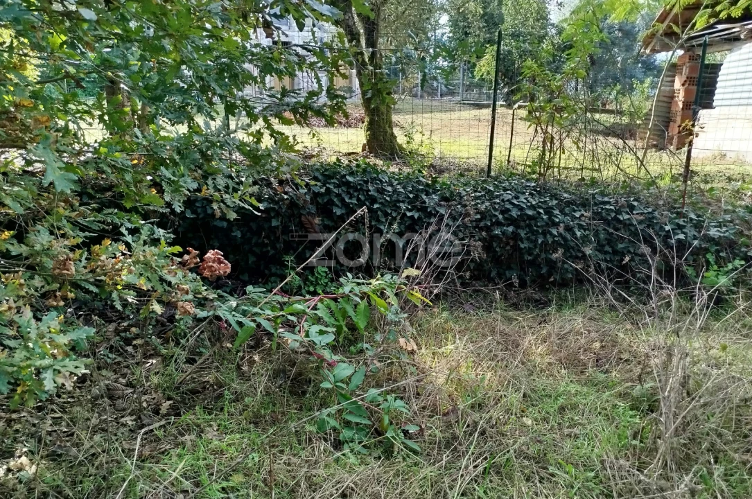 Terreno para Venda em Vilar de Besteiros e Mosteiro de Fráguas Foto 25