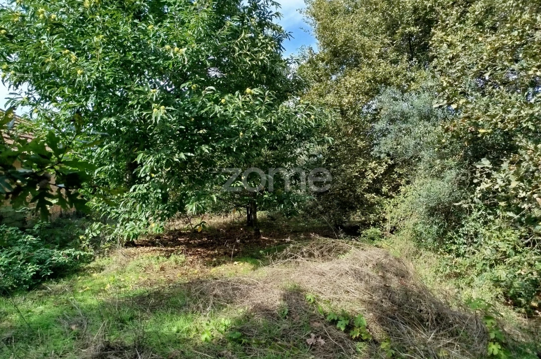 Terreno para Venda em Vilar de Besteiros e Mosteiro de Fráguas Foto 22
