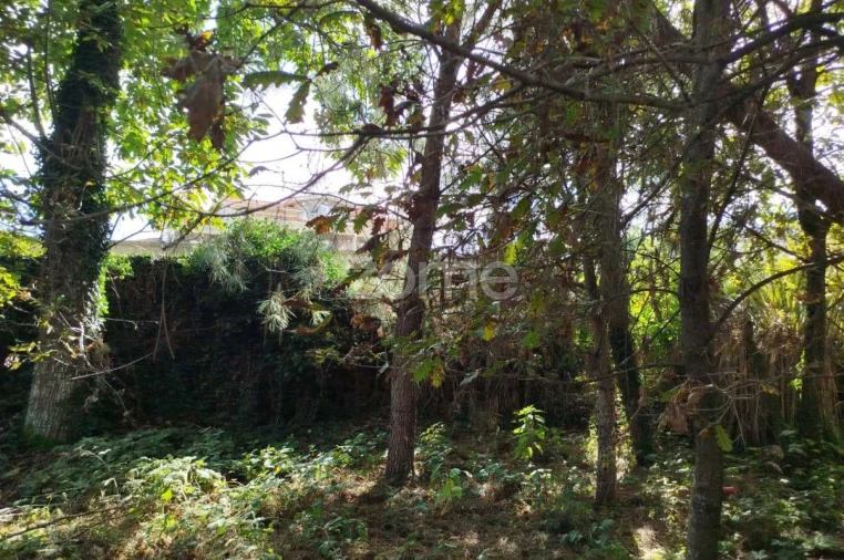 Terreno para Venda em Vilar de Besteiros e Mosteiro de Fráguas Foto 19