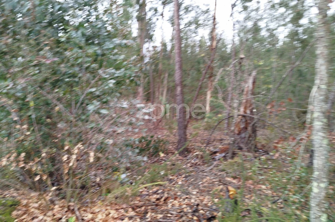 Moradia T3 para Venda em Castelões Foto 35