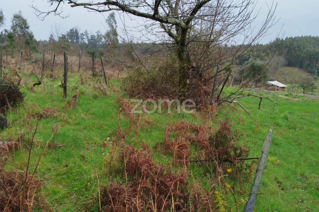 Moradia T3 para Venda em Castelões Foto 38