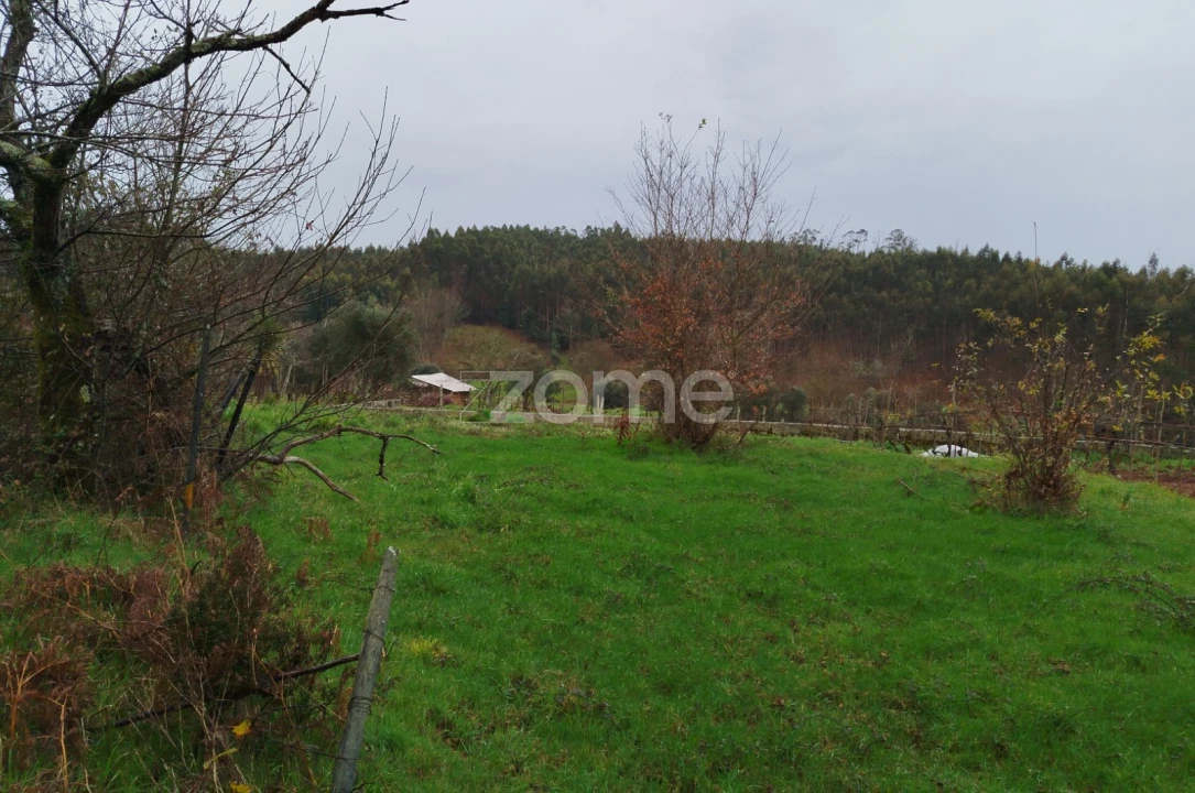 Moradia T3 para Venda em Castelões Foto 39