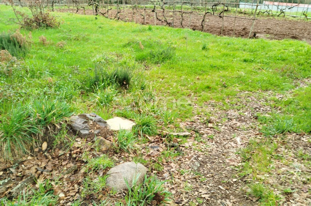 Moradia T3 para Venda em Castelões Foto 40