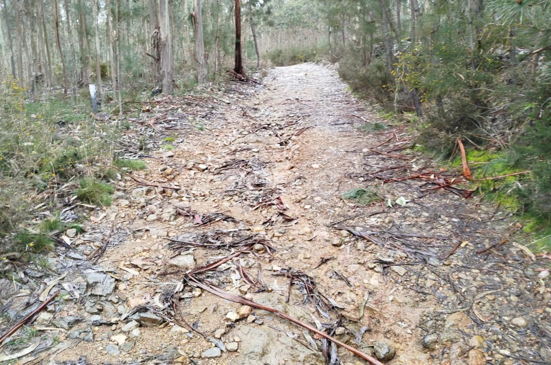 Moradia T3 para Venda em Castelões Foto 44