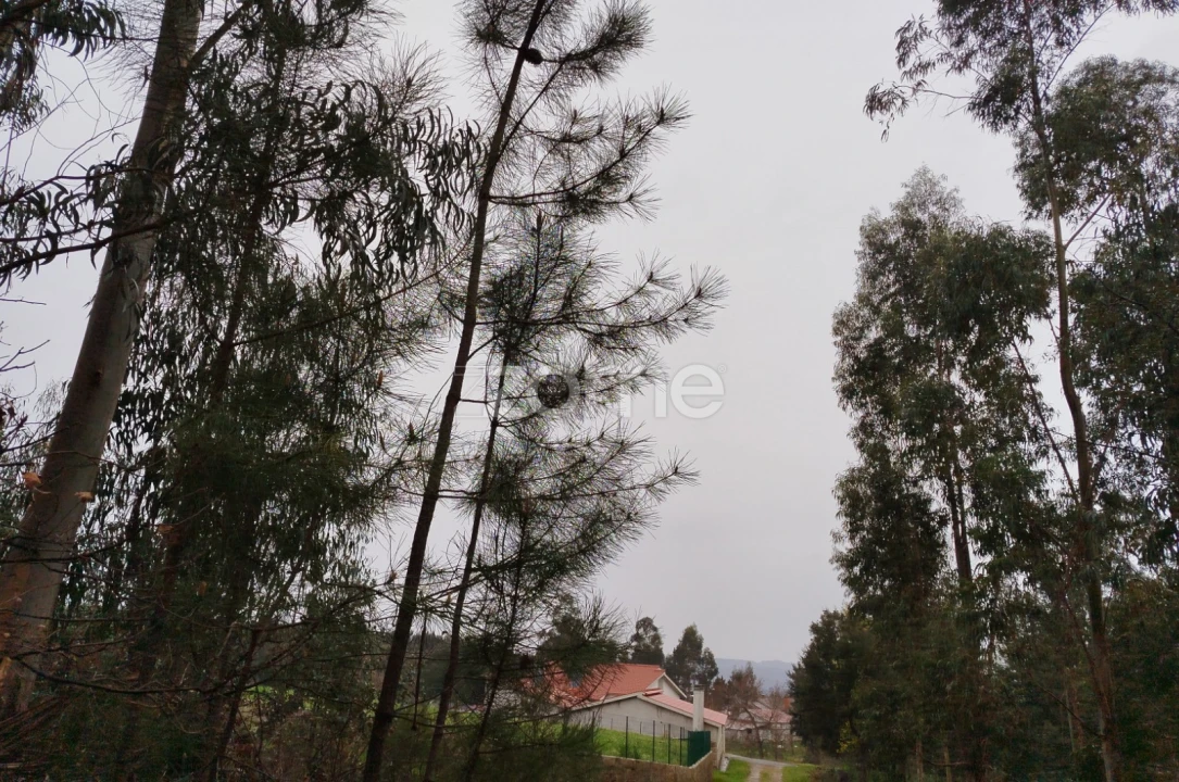 Moradia T3 para Venda em Castelões Foto 47