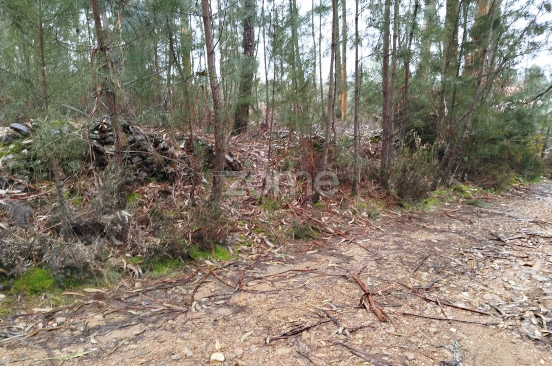 Moradia T3 para Venda em Castelões Foto 48