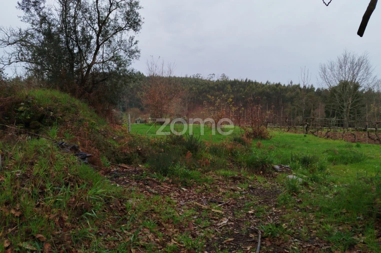 Moradia T3 para Venda em Castelões Foto 30