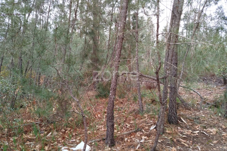 Moradia T3 para Venda em Castelões Foto 32