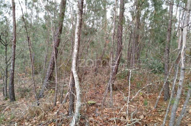 Moradia T3 para Venda em Castelões Foto 28