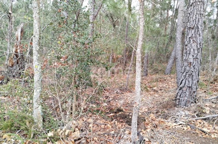 Moradia T3 para Venda em Castelões Foto 34