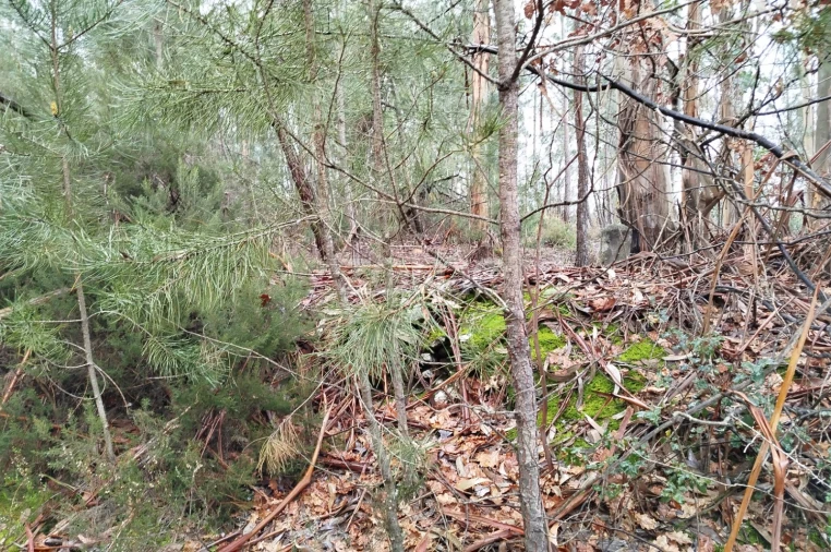 Moradia T3 para Venda em Castelões Foto 37