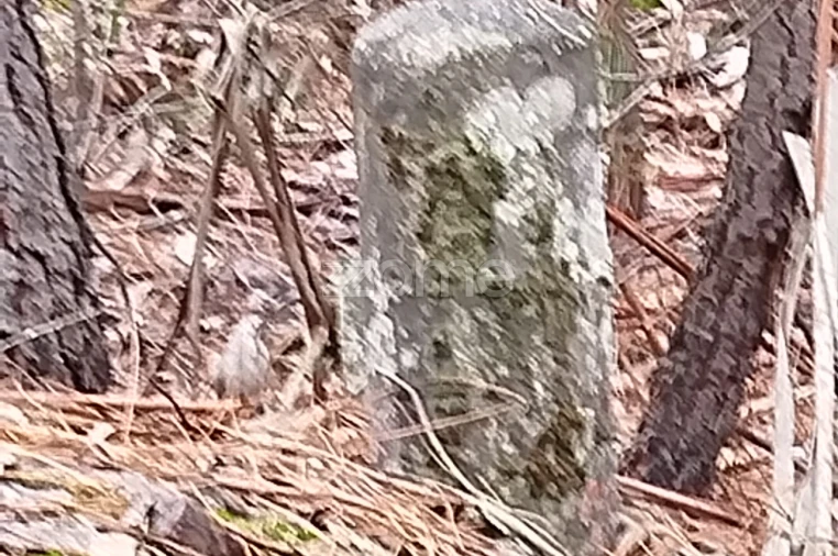 Moradia T3 para Venda em Castelões Foto 41