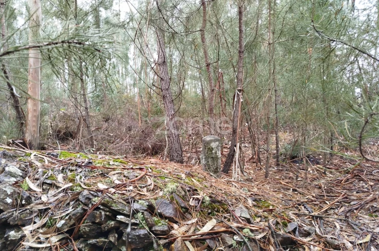 Moradia T3 para Venda em Castelões Foto 42