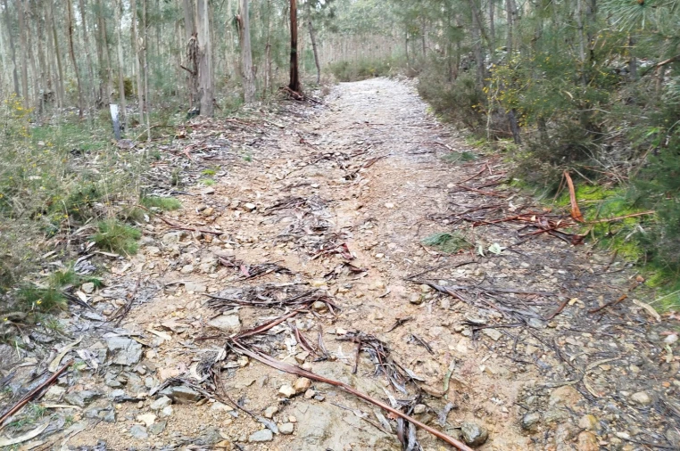 Moradia T3 para Venda em Castelões Foto 44