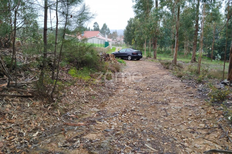 Moradia T3 para Venda em Castelões Foto 43