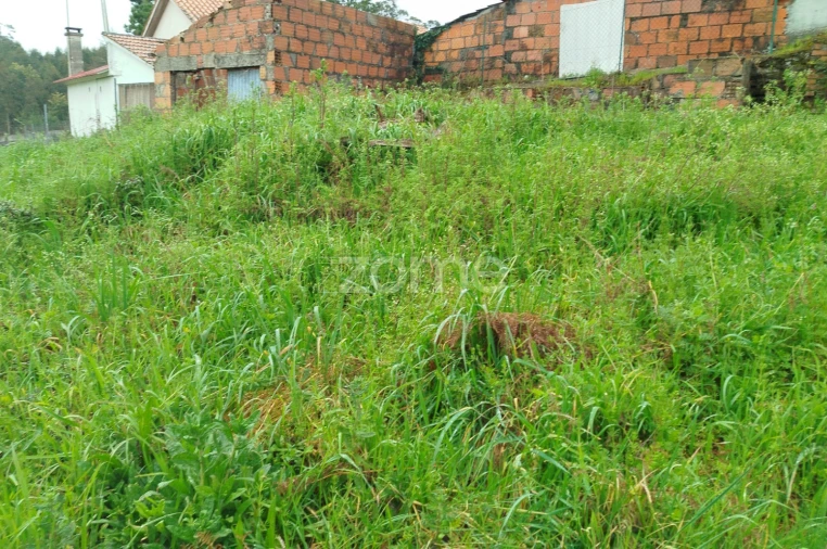 Moradia T3 para Venda em Castelões Foto 51