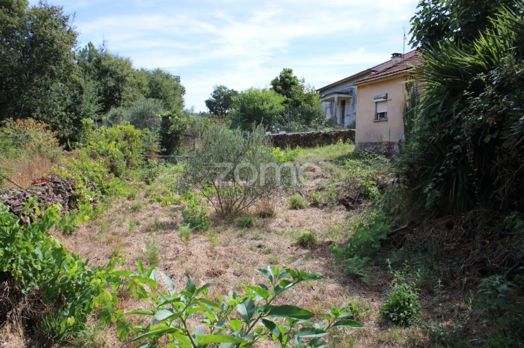 Moradia T3 para Venda em Castelões Foto 6