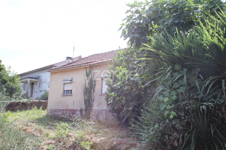 Moradia T3 para Venda em Castelões Foto 4