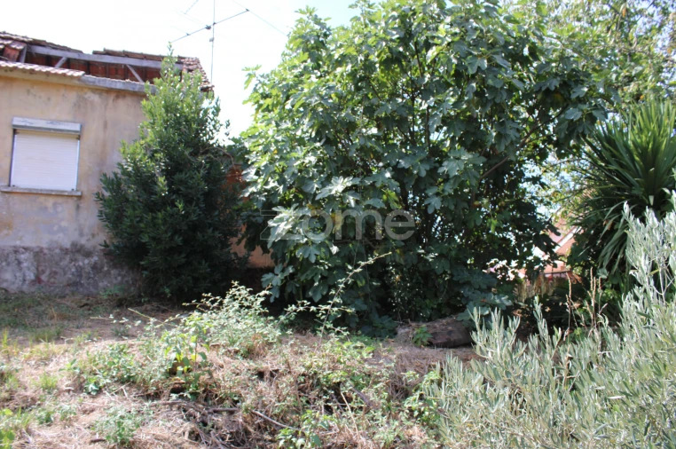 Moradia T3 para Venda em Castelões Foto 8