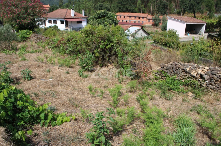 Moradia T3 para Venda em Castelões Foto 19