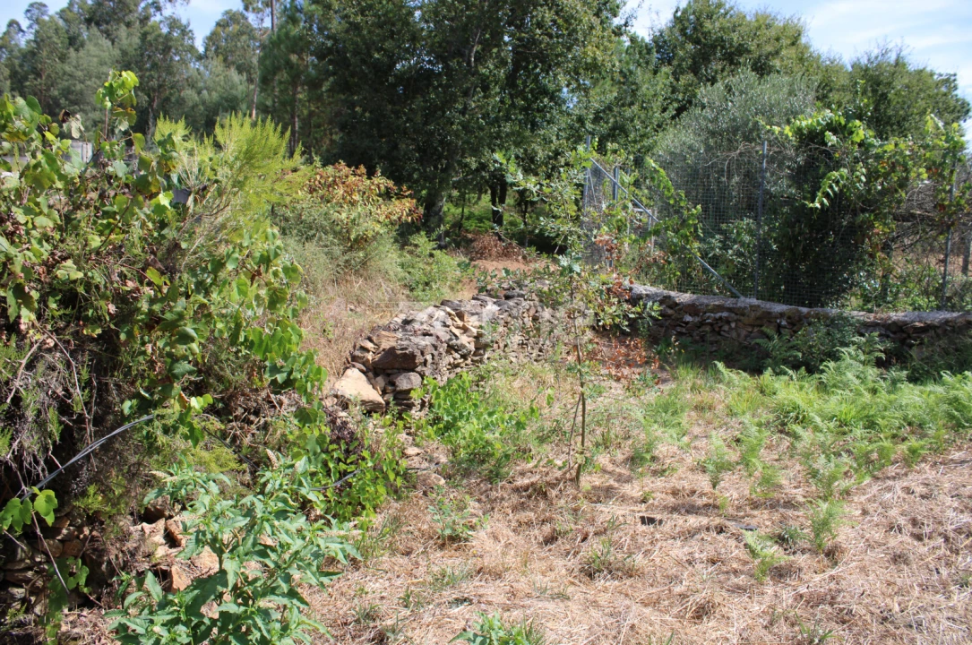 Moradia T3 para Venda em Castelões Foto 10