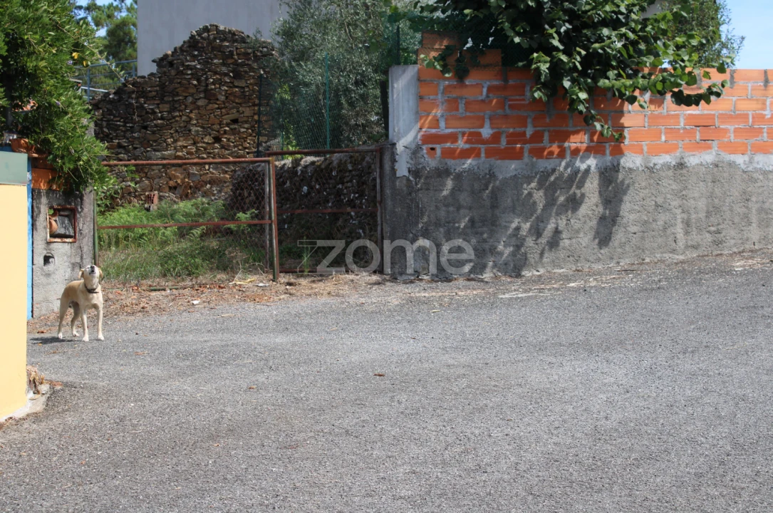 Moradia T3 para Venda em Castelões Foto 29