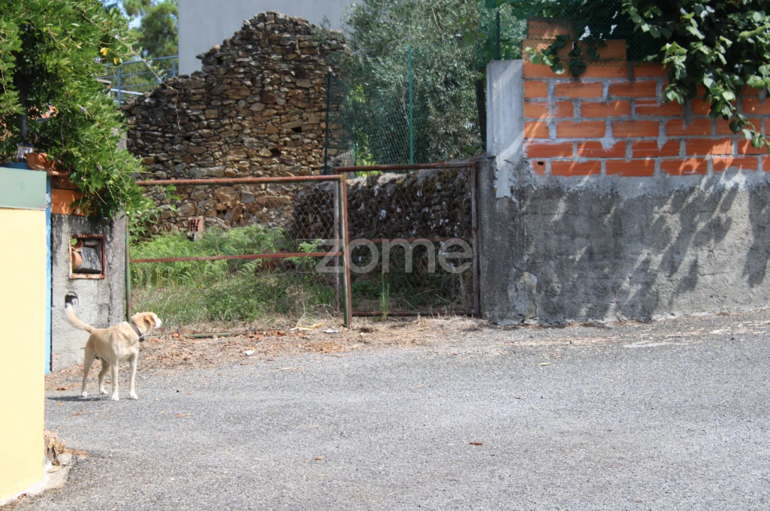 Moradia T3 para Venda em Castelões Foto 33