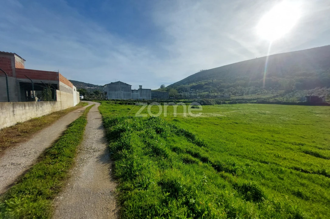 Terreno para Venda em Porto de Mós - São João Baptista e São Pedro Foto 4