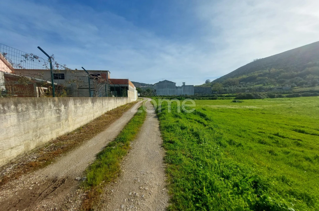 Terreno para Venda em Porto de Mós - São João Baptista e São Pedro Foto 6