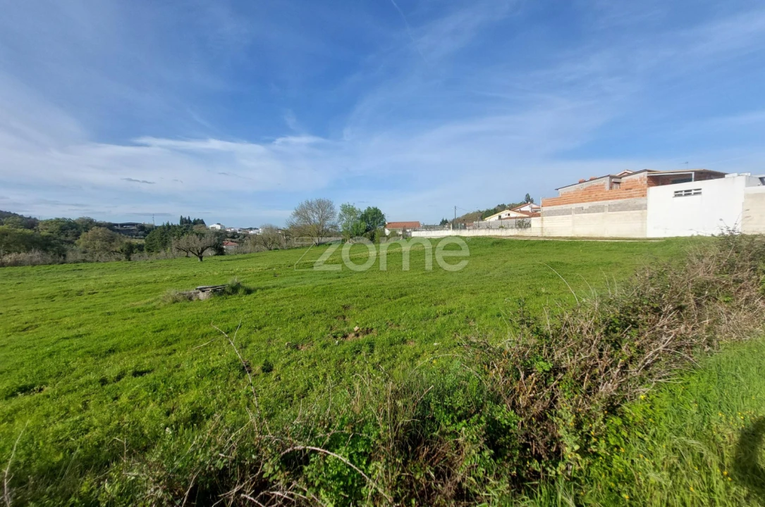 Terreno para Venda em Porto de Mós - São João Baptista e São Pedro Foto 10