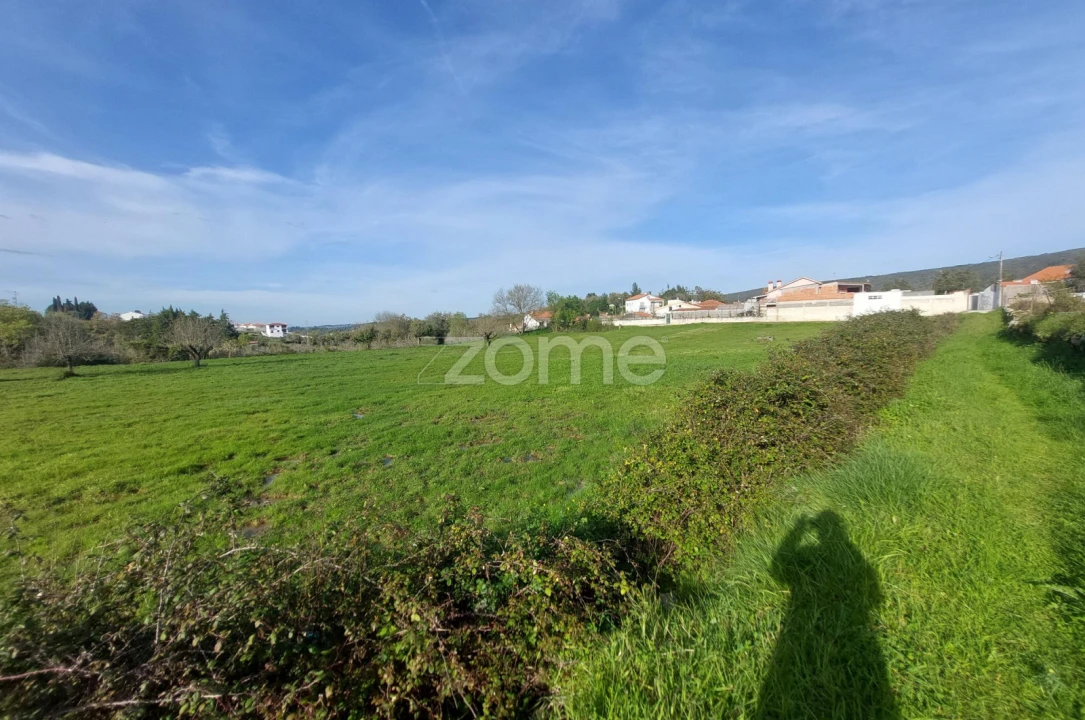 Terreno para Venda em Porto de Mós - São João Baptista e São Pedro Foto 11