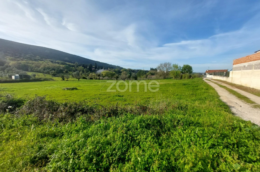 Terreno para Venda em Porto de Mós - São João Baptista e São Pedro Foto 17