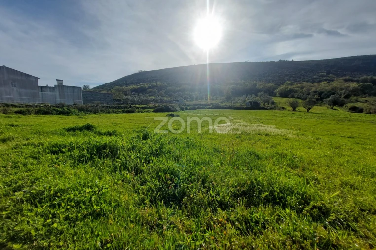 Terreno para Venda em Porto de Mós - São João Baptista e São Pedro Foto 7